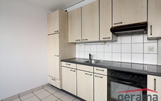 Appartement 2.5 pièces – Cité du Levant